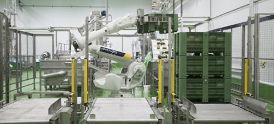 Extracción innovadora de jugo de melón o sandía, un sistema único